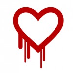 Why You Should Worry About the Heartbleed Bug